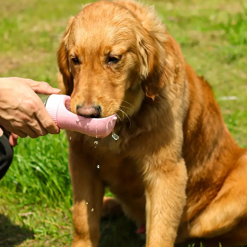 Pet Water Bottle with Water Dispenser and Feeding function