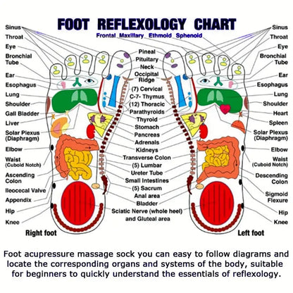 Foot Reflexology Socks with Massage Stick (2 Socks + 1 Stick)